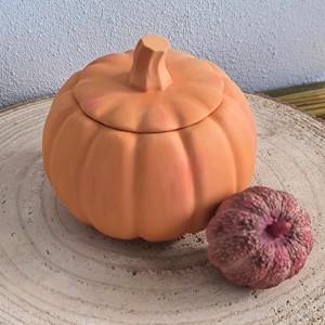 Dovleci decorativi